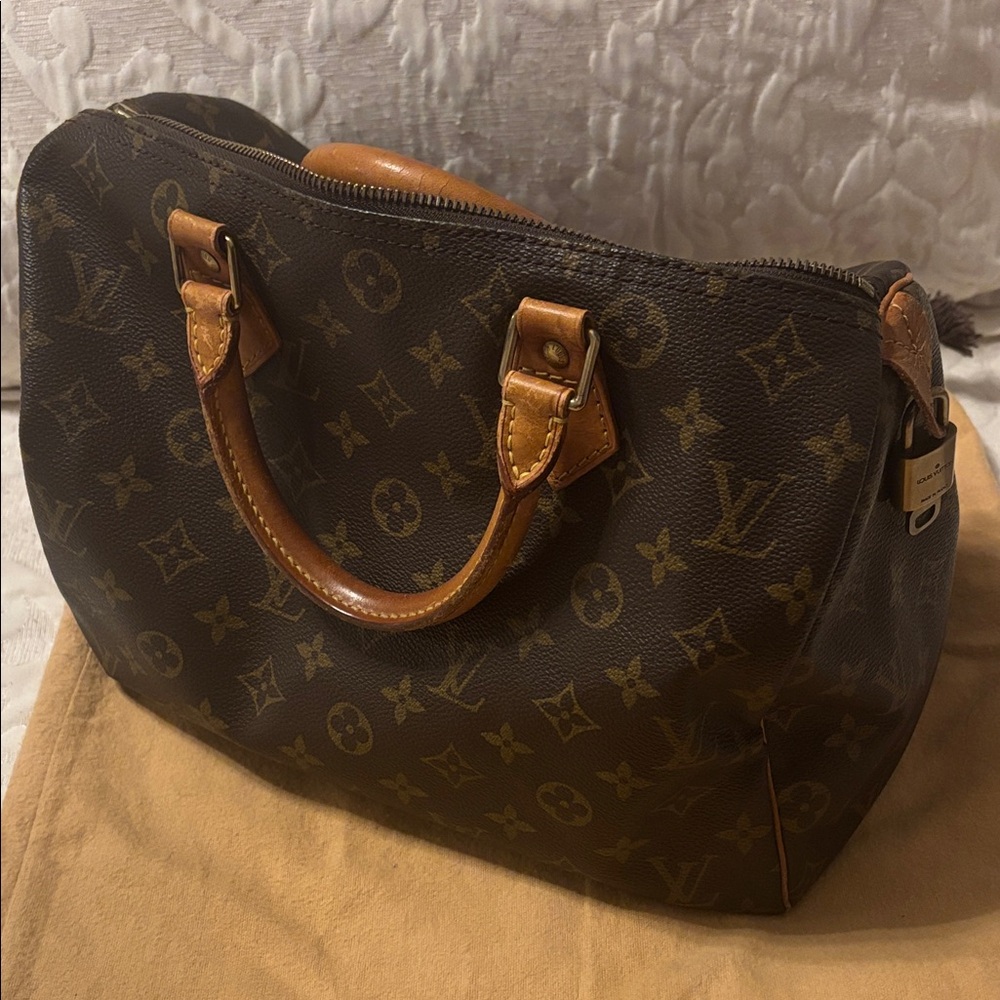 Louis Vuitton Classic Monogram Satchel with Tan Accents